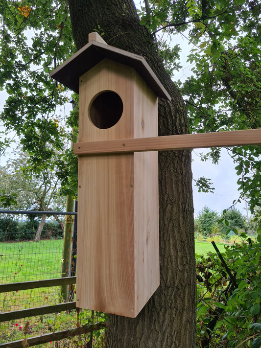 Tawny Owl nest box