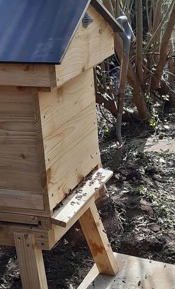 Layens Hive - Hyde Hives 2020