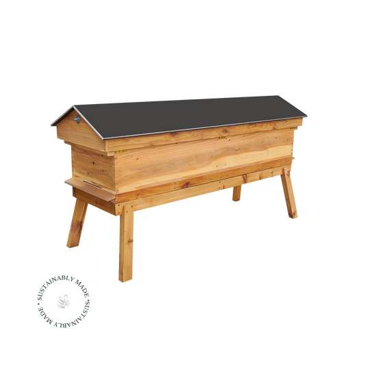 Long Hive